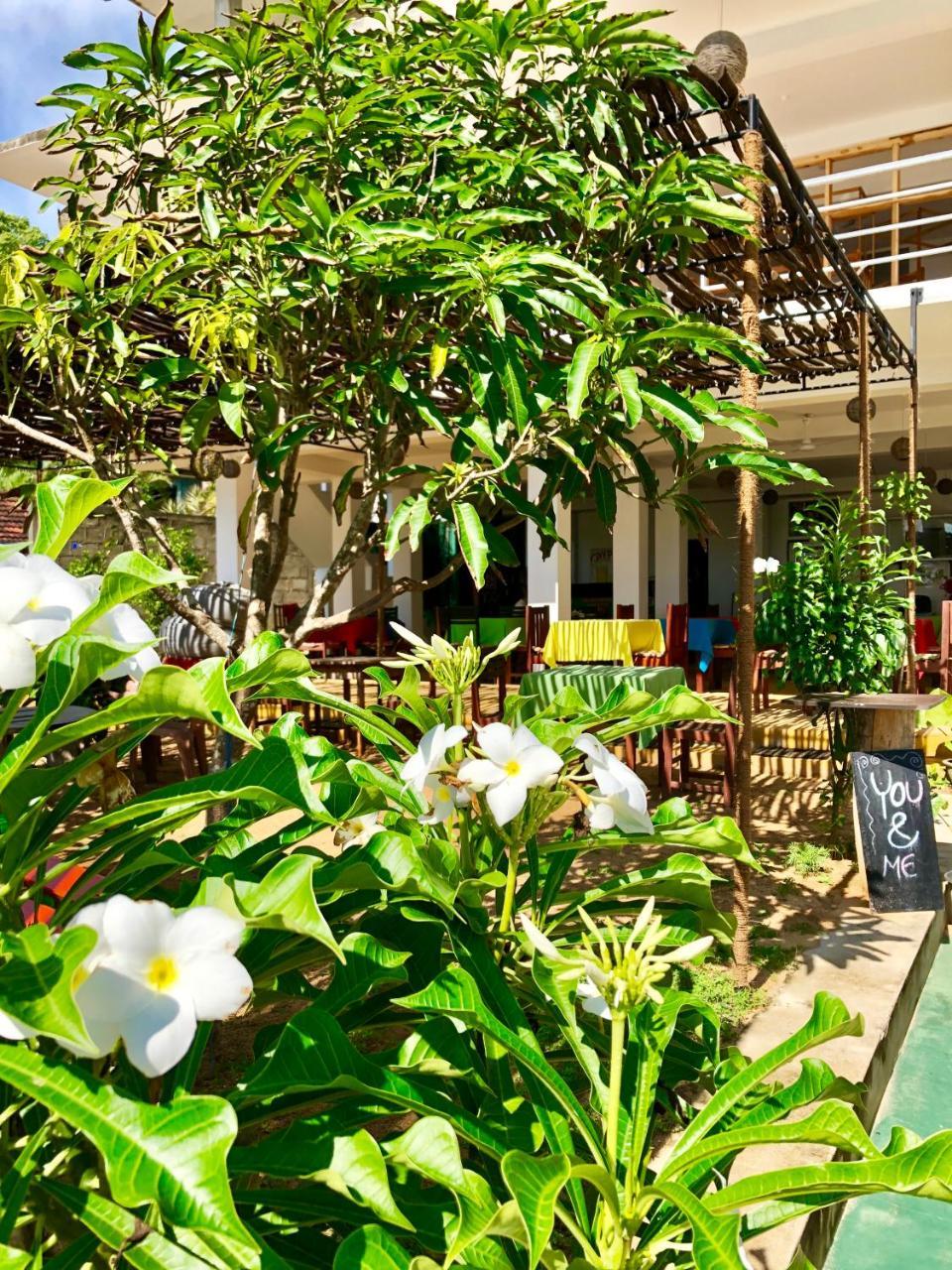 Coppenrath Hostel Tangalle Eksteriør bilde